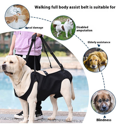 Arnés de Apoyo para Perros Lesionados en Tela Oxford - Image 18
