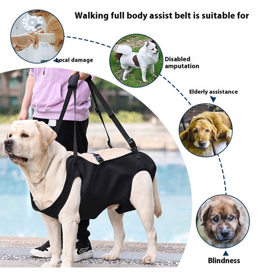 Arnés de Apoyo para Perros Lesionados en Tela Oxford - Image 18