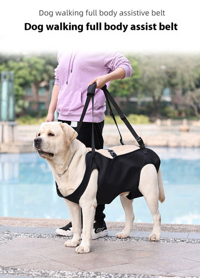 Arnés de Apoyo para Perros Lesionados en Tela Oxford - Image 20
