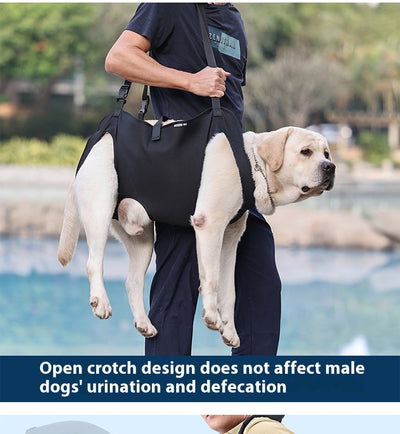 Arnés de Apoyo para Perros Lesionados en Tela Oxford - Image 21