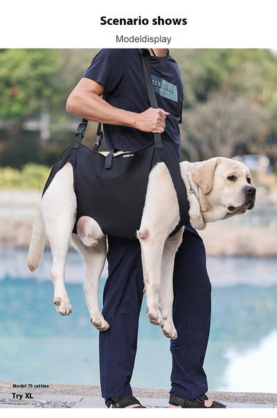Arnés de Apoyo para Perros Lesionados en Tela Oxford - Image 22