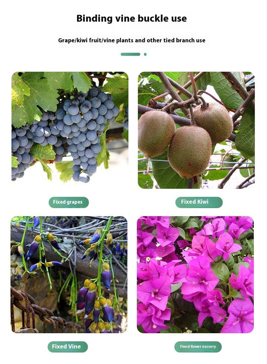 Clips de Sujeción para Plantas y Enredaderas - Image 25