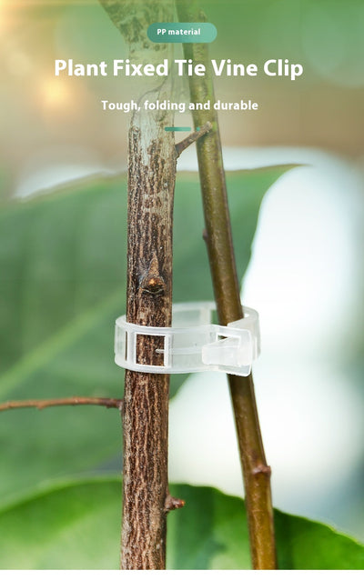 Clips de Sujeción para Plantas y Enredaderas - Image 32