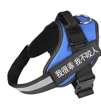 Arnés Personalizado para Perro con Nombre - Image 5