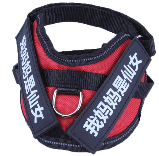 Arnés Personalizado para Perro con Nombre - Image 6