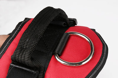 Arnés Personalizado para Perro con Nombre - Image 10