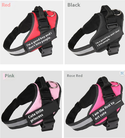 Arnés Personalizado para Perro con Nombre - Image 13