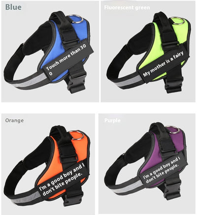 Arnés Personalizado para Perro con Nombre - Image 14