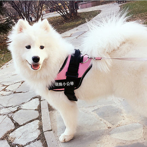 Arnés Personalizado para Perro con Nombre - Image 15