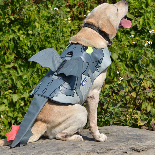 Traje de Baño Dragón Volador para Perros - Image 9