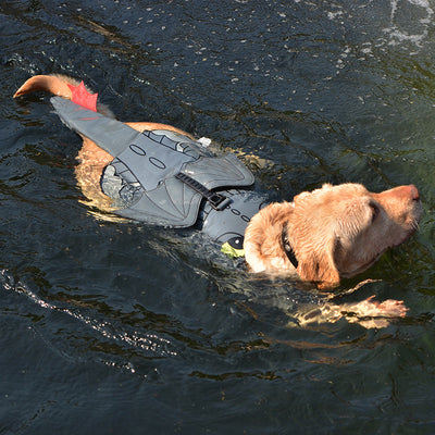 Traje de Baño Dragón Volador para Perros - Image 11