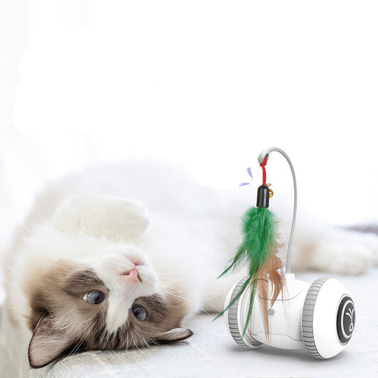 Juguete Interactivo para Gatos con Cabezales Intercambiables - Image 10