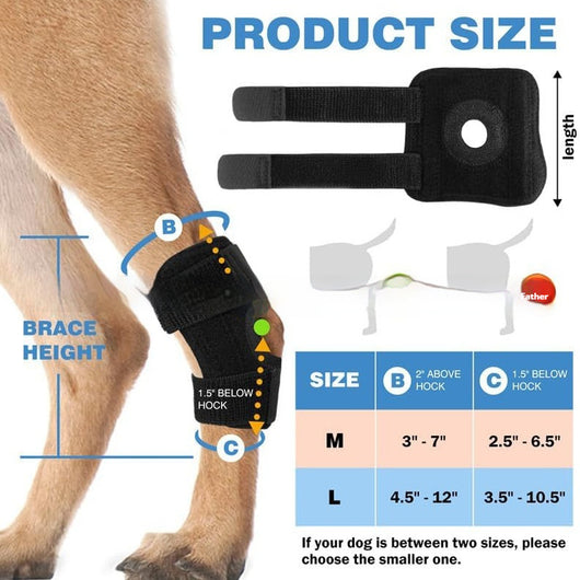 Protector de Articulaciones para Perros y Gatos - Rodillera de Rehabilitación para Lesiones ACL - Image 8