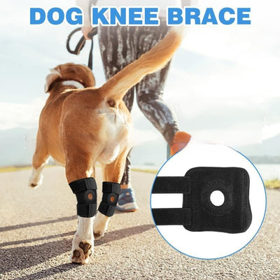 Protector de Articulaciones para Perros y Gatos - Rodillera de Rehabilitación para Lesiones ACL - Image 11