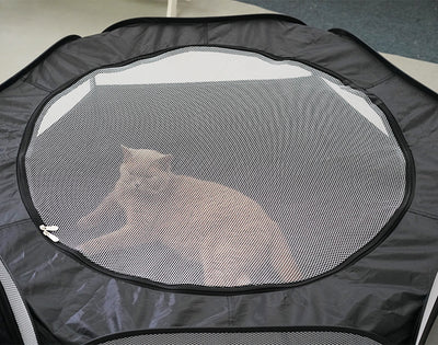 Túnel Gato Plegable Cómodo - Juguete Desmontable Multifunción sin Ocupar Espacio - Image 14