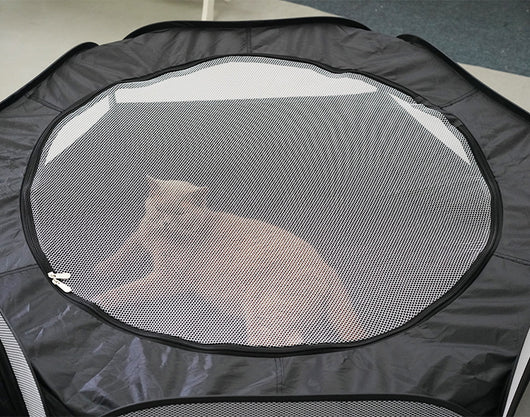Túnel Gato Plegable Cómodo - Juguete Desmontable Multifunción sin Ocupar Espacio - Image 14