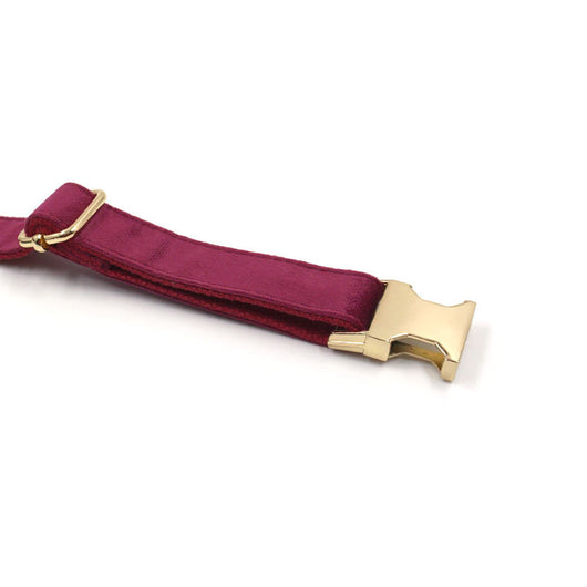 Collar de Terciopelo Borgoña para Perros - Suave y Elegante - Image 17