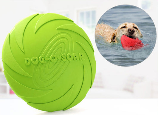 Juguete Flotante Resistente para Perros - Entrenamiento Golden Retriever - Image 22