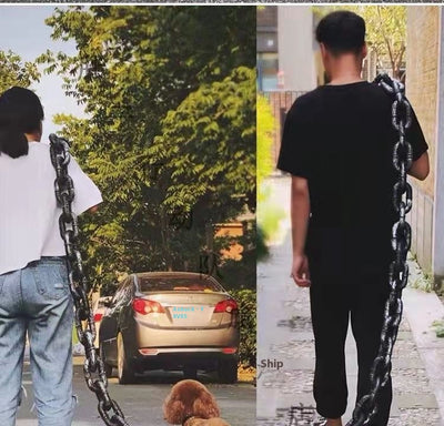 Correa para Perro Estilo Influencer - Accesorio Viral para Videos y Paseos - Image 14