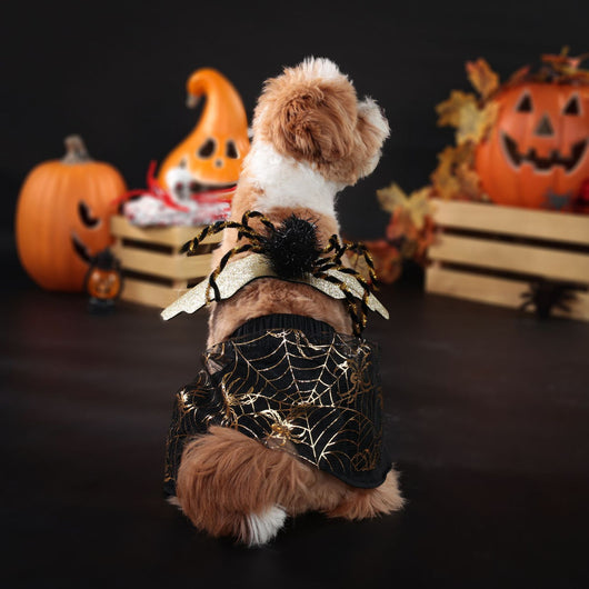 Disfraz Halloween para Perros - Traje de Fiesta Elegante - Image 10