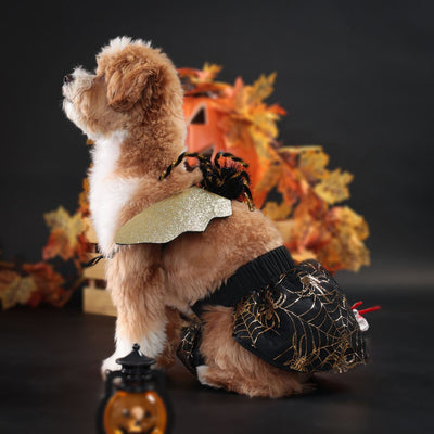 Disfraz Halloween para Perros - Traje de Fiesta Elegante - Image 11