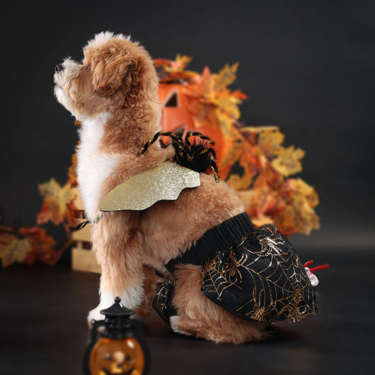 Disfraz Halloween para Perros - Traje de Fiesta Elegante - Image 11