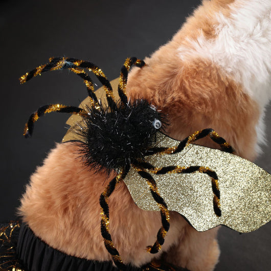 Disfraz Halloween para Perros - Traje de Fiesta Elegante - Image 12