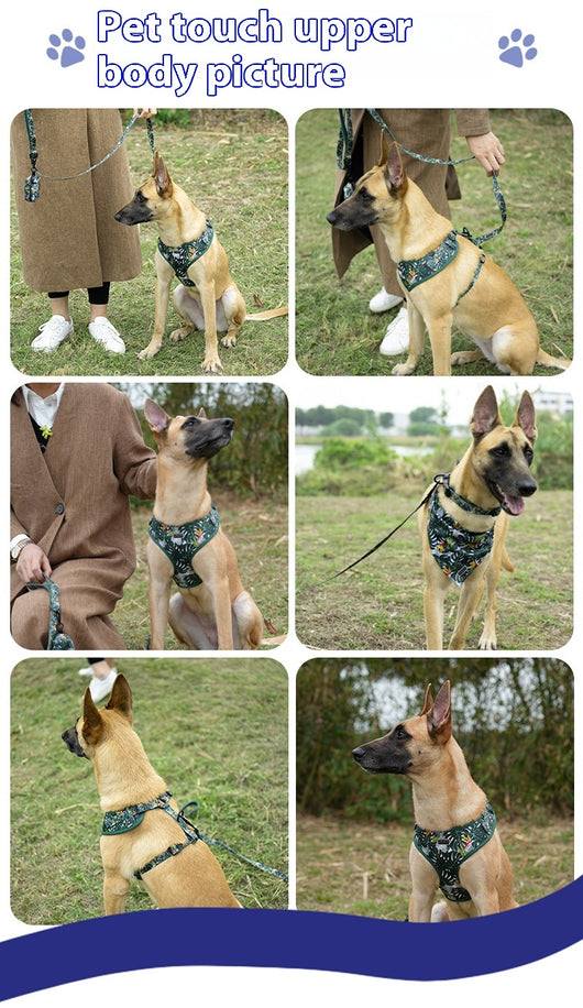 Arnés Ajustable para Perro con Cuerda de Tracción - Image 14