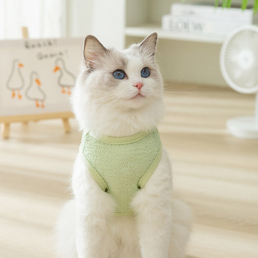 Ropa Transpirable para Mascotas con Diseño Calado y Parche de Osito - Image 11