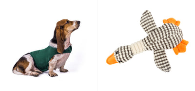 Chaleco Calmante para Mascotas - Ropa Terapéutica Antiansíedad para Gatos y Perros - Image 20