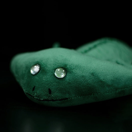 Peluche Salamandra Bonin Realista - Serie Biológica Educativa - Image 7