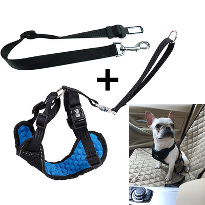 Cinturón de Seguridad Masajeador para Mascotas en Auto - Image 4