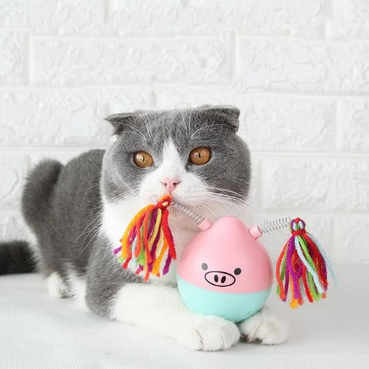 Pink and mint green pig-shaped tumbler pet toy with a colorful yarn tassel and spring, shown with its box. - Image 6