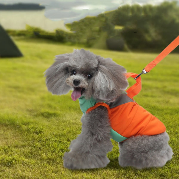 Abrigo Acolchado de Algodón para Perros - Calidez Invernal