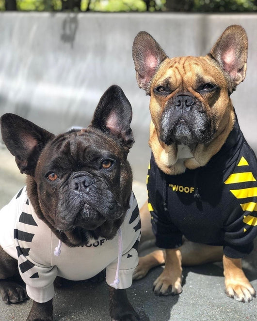 Suéter Grueso de Terciopelo para Perros Pet Tide Plus - Image 3