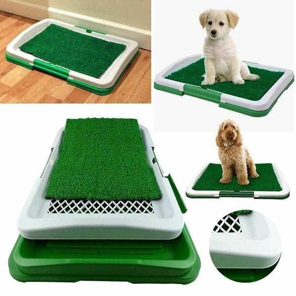 Bandeja Sanitaria de Rejilla para Perros - Entrenamiento de Baño