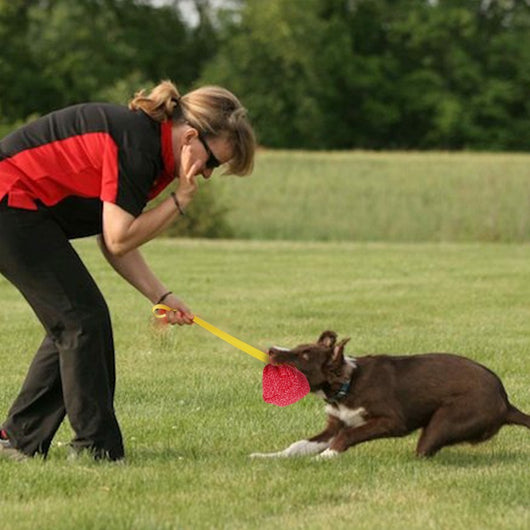 Juguete Masticable para Perros con Cáñamo - Almohada Interactiva para Entrenamiento - Image 3