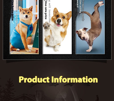 Pet Snacks chicken-wrapped milk bones in a white bag with a fluffy dog, alongside a bowl of treats. - Image 14