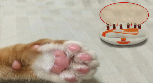 Afilador Eléctrico de Uñas para Mascotas - Image 5