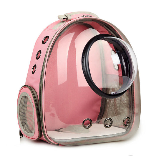 Dark grey transparent pet carrier backpack with a white cat plush toy inside, sitting on a path outdoors. - Image 11