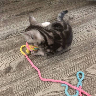 Juguete Interactivo para Gatos - Vara con Bola de Estambre - Image 8