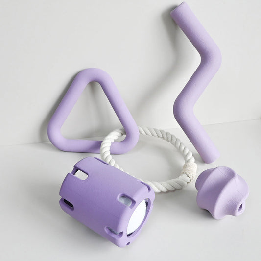 Juego de Juguetes Masticables Resistentes para Perros