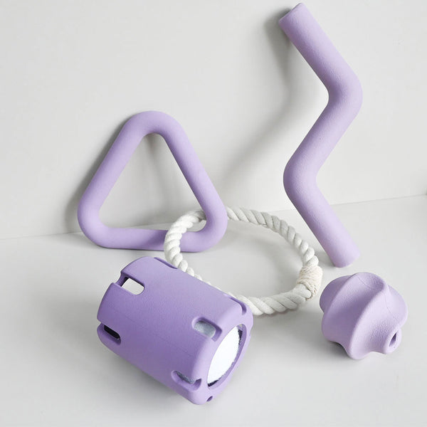 Juego de Juguetes Masticables Resistentes para Perros