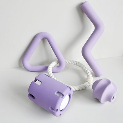 Juego de Juguetes Masticables Resistentes para Perros
