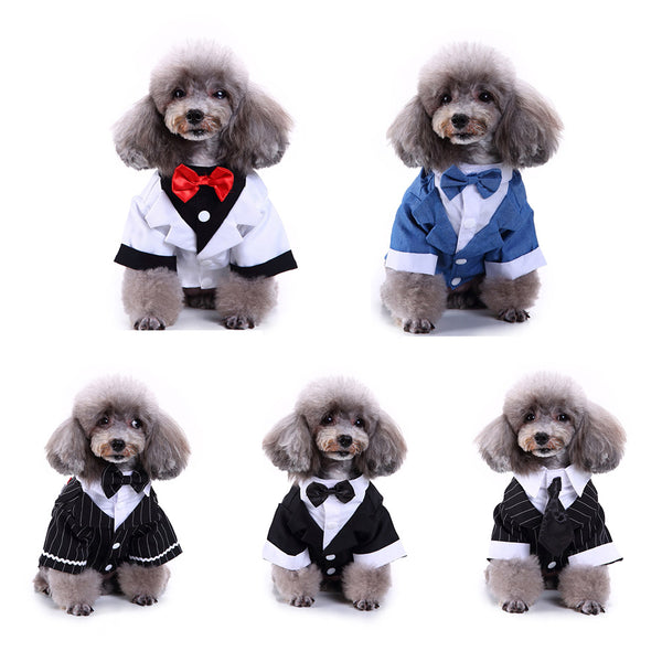 Traje Deportivo para Perros