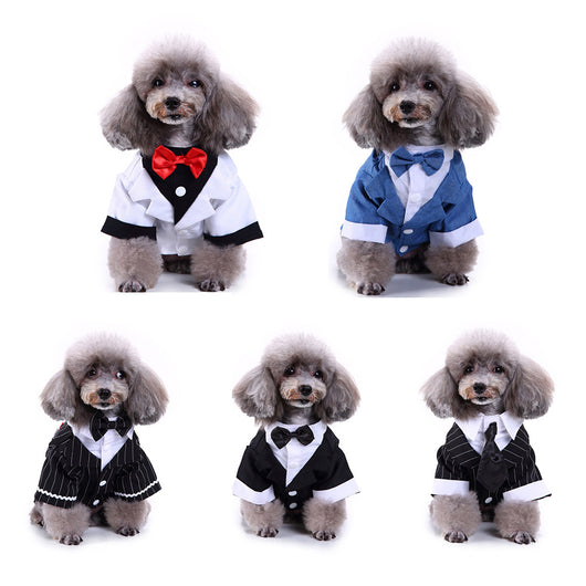 Traje Deportivo para Perros