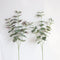 Flor Simulada Árbol del Dinero - Decoración Artificial Premium