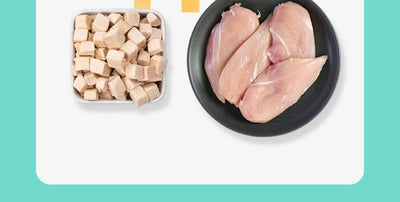 Snack de Pollo Liofilizado para Gatos 500g - Image 25