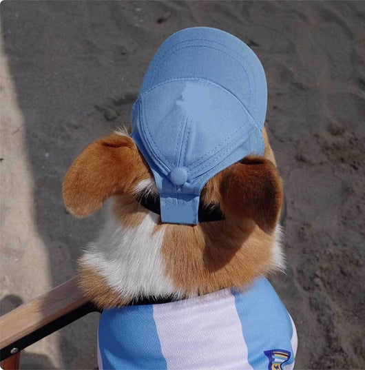 Gorra Protectora Solar Ajustable para Mascotas con Orejas Descubiertas - Image 23