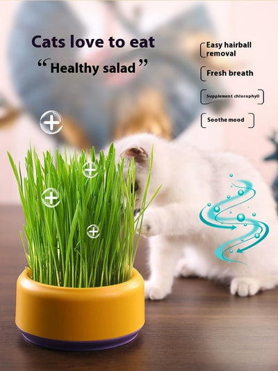 Pasto para Gatos Hidropónico sin Tierra en Maceta - Image 13